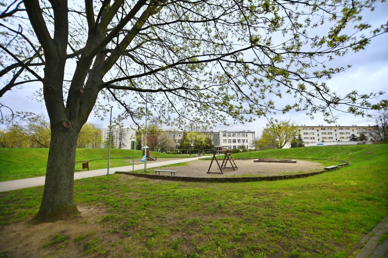Jasne 3city Dla 3 Osob W Gdansku By Renters *
